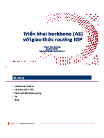 Chương 1 Internet Backbone và Kết Nối Liên Mạng IP | Môn Thiết kế và triển khai mạng IP - Đại học Bách Khoa Hà Nội
