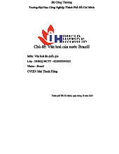 Văn Hoá Đất Nước Brazil - Môn Văn Hoá Đa Quốc Gia, Lớp DHKQ18CTT