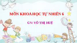 Giáo án điện tử Khoa học tự nhiên 6 bài 19 Chân trời sáng tạo : Cơ thể đơn bào và cơ thể đa bào