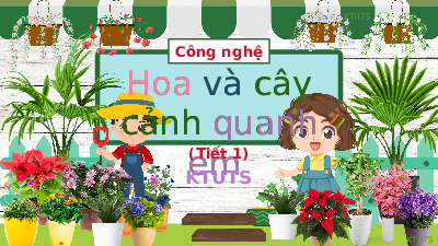 Giáo án điện tử Công nghệ 4 Cánh diều: Hoa và cây cảnh quanh em (Tiết 1)