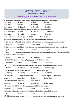Đề số 5 - Đề kiểm tra giữa kì 2 - Tiếng Anh 9