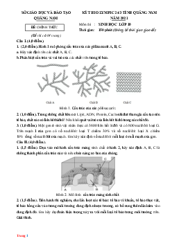 Đề thi Olympic Sinh 10 sở GD&ĐT Quảng Nam 2021 (có đáp án)