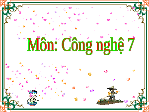 Giáo án điện tử Công nghệ 7 Bài 11 Kết nối tri thức: Phòng và trị bệnh cho vật nuôi