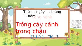 Giáo án điện tử Công nghệ 4 Bài 4 Tiết 1 Chân trời sáng tạo: Trồng cây cảnh trong chậu