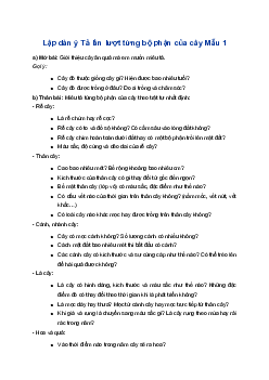 Lập dàn ý Tả lần lượt từng bộ phận của cây | Tập làm văn lớp 4