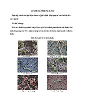 CƠ CHỂ LÊN MEN LACTIC - TỔNG HỢP SINH HỌC ĐẠI CƯƠNG