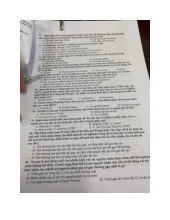 Trắc nghiệm hệ tiêu hoá - Tiêu hoá thận tiết niệu | Đại học Y Dược Huế