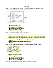 Ôn tập Các kiểu biểu đồ trong phát triển phần mềm môn Công nghệ phần mềm | Trường Đại học Thủy Lợi