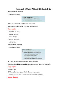 Soạn Anh 6 Unit 3 Video SGK Cánh Diều