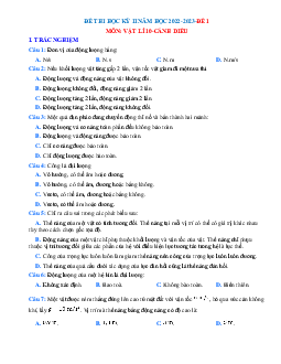 Đề thi học kì 2 lớp 10 môn Vật lí Cánh diều năm 2023 - Đề 1