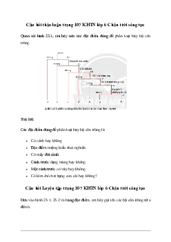 Giải Khoa học tự nhiên 6 Bài 23: Thực hành xây dựng khóa lưỡng phân - Chân Trời Sáng Tạo