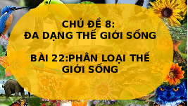 Giáo án điện tử Khoa học tự nhiên 6 bài 22 Chân trời sáng tạo : Phân loại thế giới sống (tiết 2)