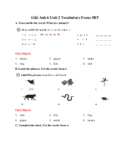 Giải Anh 6 Unit 2 Vocabulary Focus SBT Cánh diều