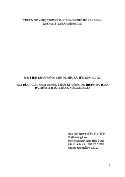 Tiểu luận "Gia đình Việt Nam trong thời đại công nghiệp hóa hiện đại hóa"