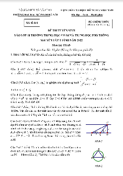 Đề tuyển sinh lớp 10 môn Toán năm 2022 trường Nguyễn Tất Thành – Hà Nội
