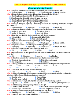 Trắc nghiệm KHTN 8 Kết nối tri thức bài 38 Hệ nội tiết ở người (có đáp án)