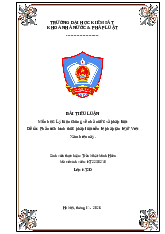 Tiểu luận Phân tích hình thức pháp luật tiền lệ pháp (án lệ) ở Việt Nam hiện nay | Lý luận chung về nhà nước và pháp luật