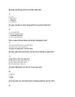 Trắc nghiệm học phần Dẫn luận ngôn ngữ (Có đáp án) | Học viện Tài chính