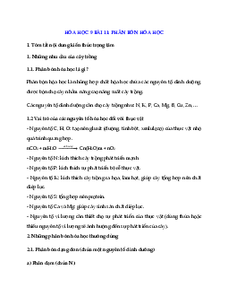 Hóa học 9 Bài 11: Phân bón hóa học