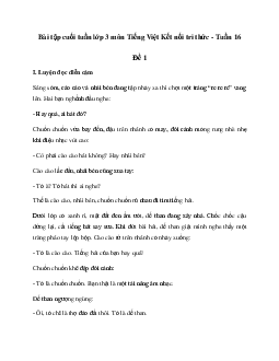 Bài tập cuối tuần lớp 3 môn Tiếng Việt Kết nối tri thức - Tuần 16