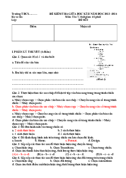 Đề thi giữa học kì 2 môn Tin học 7 năm 2023 - 2024 sách CTST - Đề 3-4-5