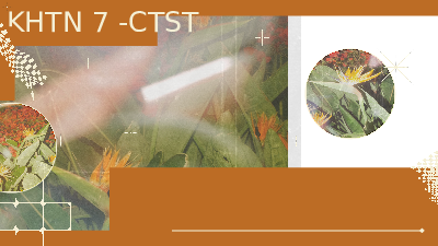 Giáo án điện tử Khoa học tự nhiên 7 bài 23 Chân trời sáng tạo : Quang hợp ở thực vật