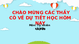 Giáo án điện tử Tự nhiên và Xã hội 2 Bài 8 Kết nối tri thức: An toàn khi ở trường