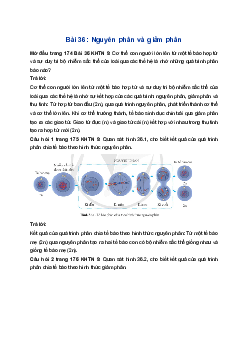 Giải Khoa học tự nhiên 9 Cánh diều Bài 36: Nguyên phân và giảm phân