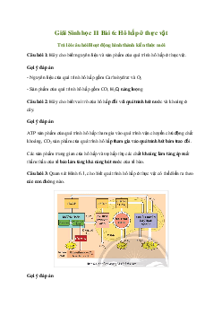 Giải Sinh học 11 Bài 6: Hô hấp ở thực vật | Chân trời sáng tạo