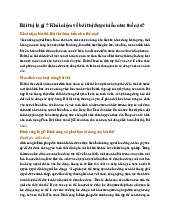 Bãi thị là gì ? Khái niệm về bãi thị được hiểu như thế nào