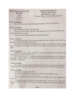Đề thi học kì 1 lớp 9 môn Sinh học Sở GD&ĐT Bến Tre năm 2020( có đáp án )