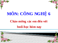 Giáo án điện tử Công nghệ 6 Chân trời sáng tạo: Ôn tập giữa kì I