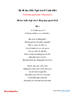 Bộ đề đọc hiểu Ngữ văn 8 Cánh diều