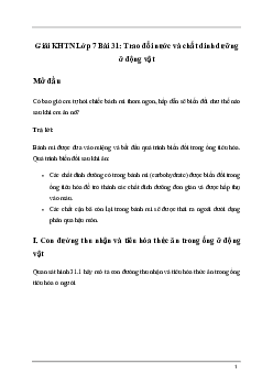 Bài 31: Trao đổi nước và chất dinh dưỡng ở động vật | Giải sách Khoa học tự nhiên 7 Kết nối tri thức