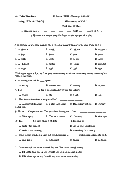 Đề thi học kỳ 2 môn Tiếng Anh lớp 12 trường THPT Số 1 Phù Mỹ, Bình Định năm học 2010 - 2011