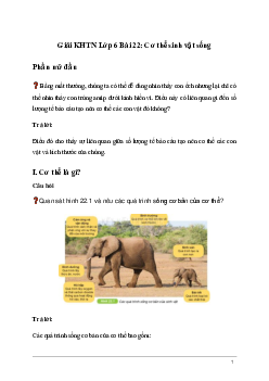 Giải KHTN Lớp 6 Bài 22: Cơ thể sinh vật sống | Kết nối tri thức