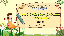 Giáo án điện tử Công Nghệ  4 KNTT -Bài 5  Kết Nối Tri Thức:  Trồng hoa cây cảnh trong chậu (tiết 3).