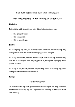 Soạn bài Đọc: Cây táo đã nảy mầm - Tiếng Việt 4 Chân trời sáng tạo