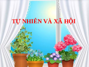 Giáo án điện tử Tự nhiên và xã hội 2 Bài 4 Cánh diều: Giữ vệ sinh nhà ở