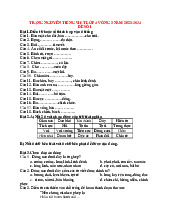 TOP các đề thi Trạng Nguyên Tiếng Việt lớp 4 vòng 3 năm học 2024 - 2025