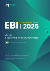 Bao cao Chi so TMDT Viet Nam 2025