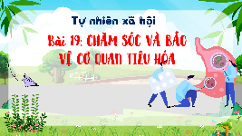 Giáo án điện tử TN&XH 3 Bài 19 Kết nối tri thức: Chăm sóc và bảo vệ cơ quan tiêu hóa
