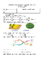 Đề thi giữa học kỳ 2 môn Toán lớp 3 năm học 2024-2025 cho cả 3 bộ sách Kết nối tri thức, Cánh diều, Chân trời sáng tạo