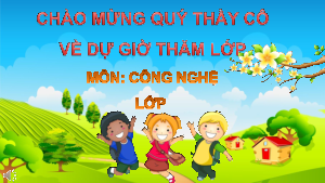 Bài giảng điện tử môn Công nghệ 4 | Bài 7: Trồng và chăm sóc cây cảnh trong chậu (T2) | Cánh diều