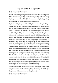 Tả cây hoa lan | Tập làm văn 4