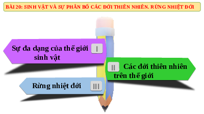 Giáo án điện tử Địa lí 6 Bài 20 Chân trời sáng tạo: Sinh vật và sự phân bố các đới thiên nhiên trên. Rừng nhiệt đới