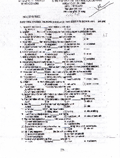 Đề thi chọn đội tuyển học sinh giỏi THPT Vòng 1 TP Hồ Chí Minh môn Tiếng Anh năm 2007-2008