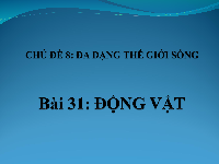 Giáo án điện tử Khoa học tự nhiên 6 bài 31 Chân trời sáng tạo : Động vật