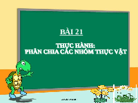 Giáo án điện tử Khoa học tự nhiên 6 bài 21 Kết nối tri thức : Thực hành phân chia các nhóm thực vật