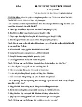 Đề thi thử tốt nghiệp THPT 2025 môn Lịch sử bám sát đề minh họa - Đề 40